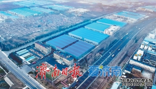 春山新茶出“绿芽”变“金芽”